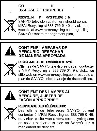 Sanyo DP55441 User Manual