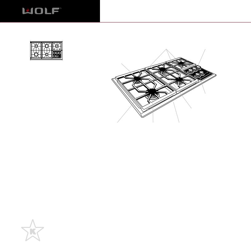 Wolf Appliance Company CT36G User Manual