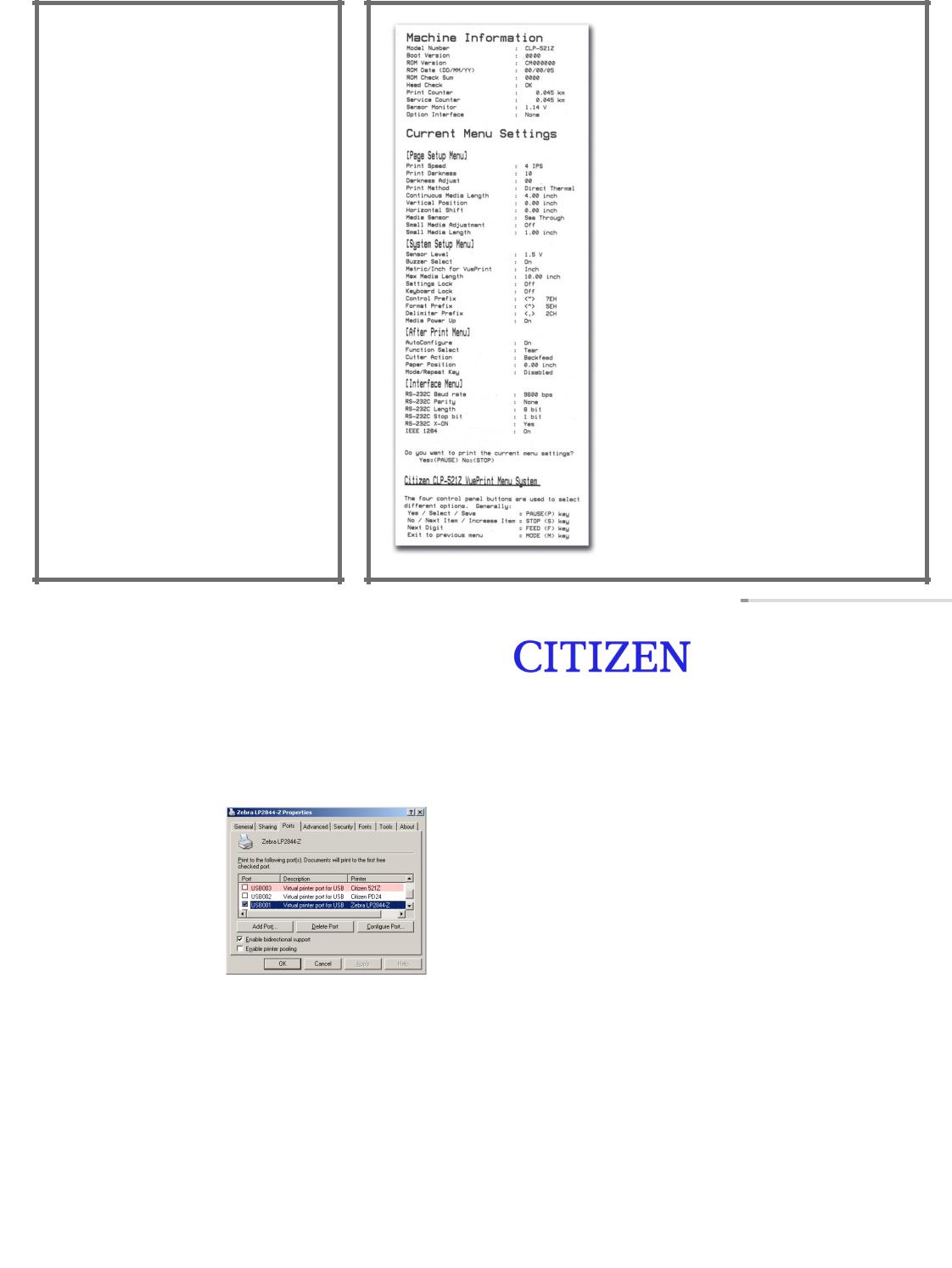 Citizen CLP-521Z, CLP-621Z User Manual