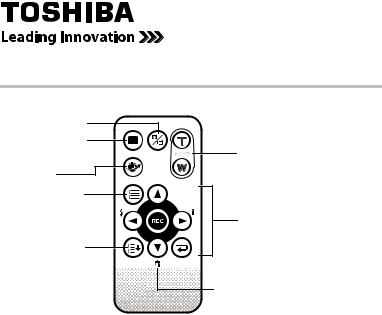 Toshiba X100, GMAA00228010, H30, PA3790U-1CAM, PA3791U-1CAM User Manual