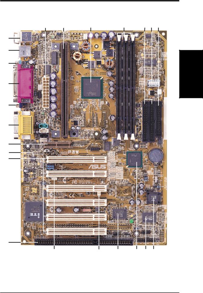 ASUS Intel 810 Motherboard P3W User Manual