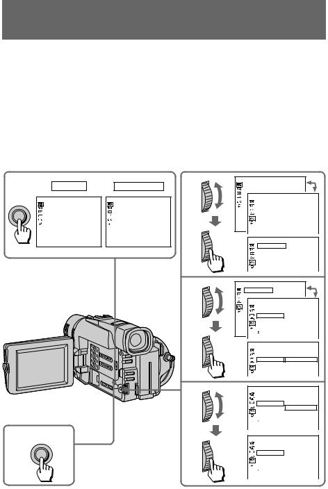Sony CCD-TRV99, CCD-TRV95 User Manual