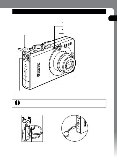 Canon DIGITAL IXUS 40, DIGITAL IXUS 30 User Manual