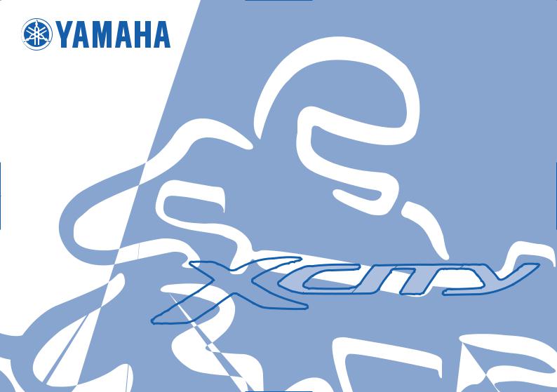 Yamaha XCITY250 Manual