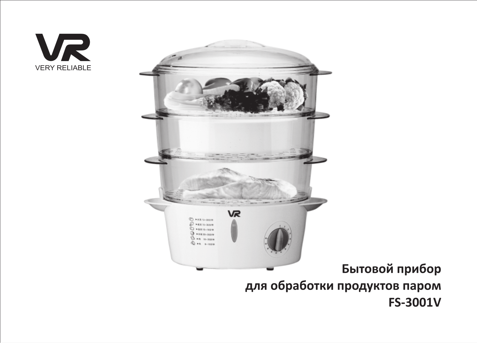 Vr FS-3001V User Manual