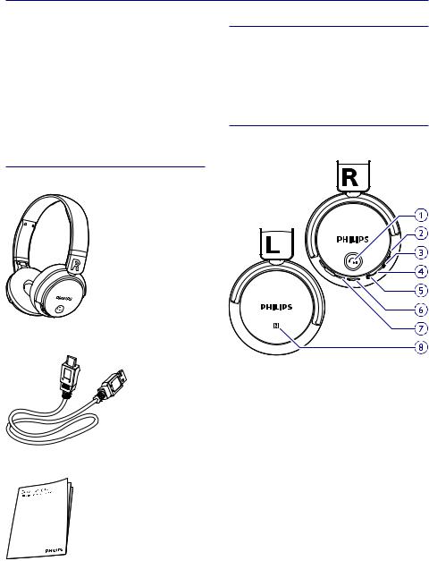 Philips SHB3165BK/00, SHB3185BK/00 User Manual