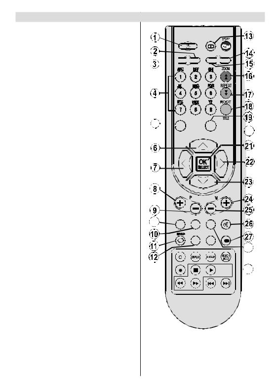 Hitachi L19DP04U User Manual