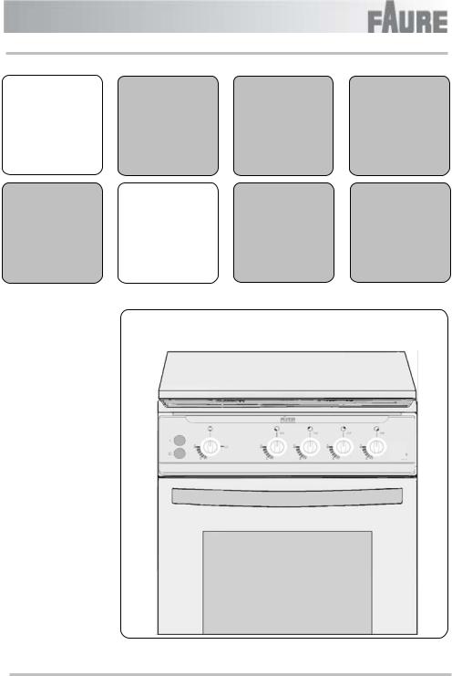 FAURE CGC421 User Manual