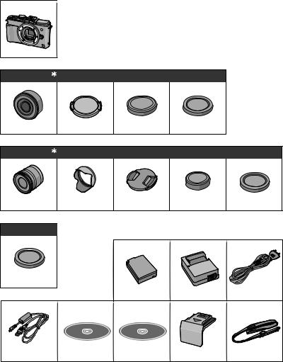 PANASONIC GX1 User Manual