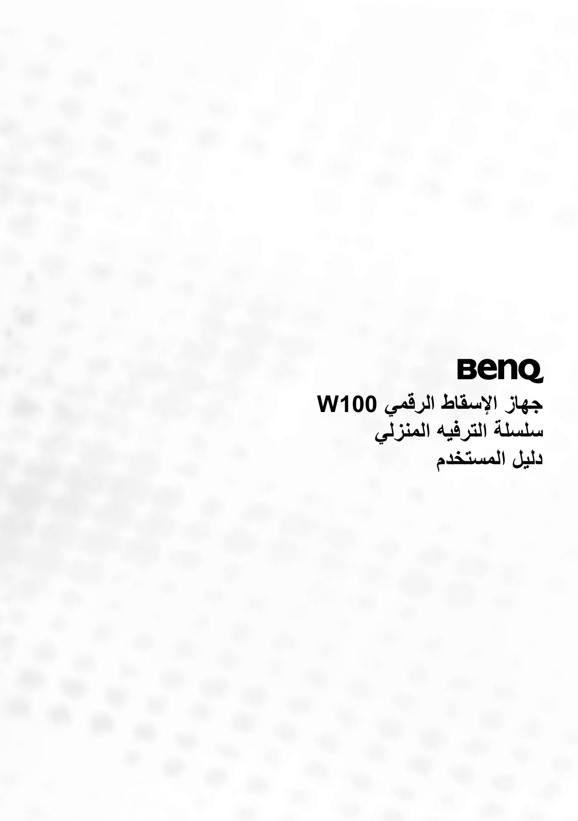 Benq W100 User Manual