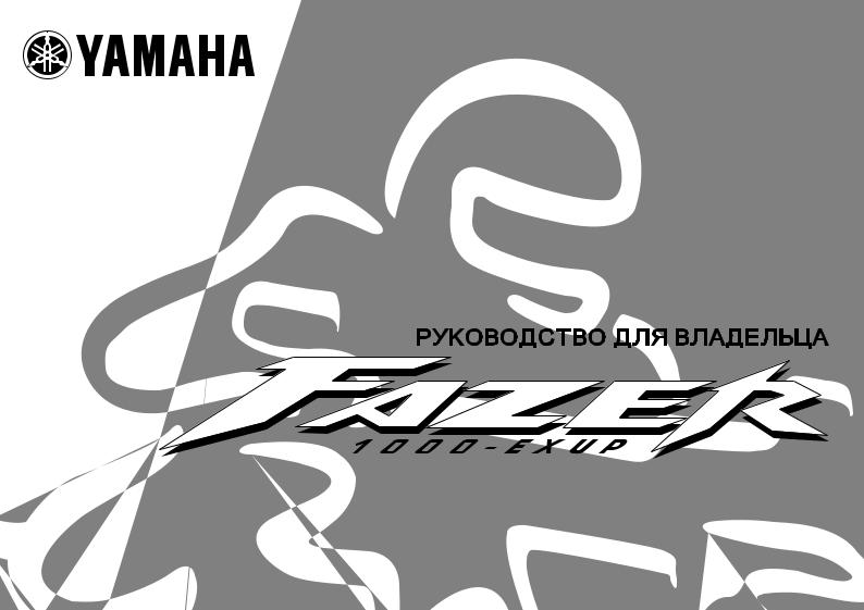 Yamaha FZS1000 2003 User Manual