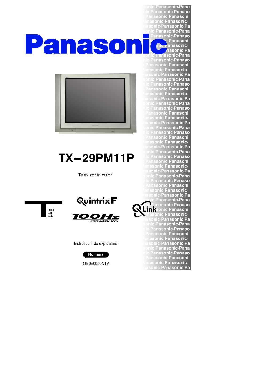 PANASONIC TX-29PM11P User Manual