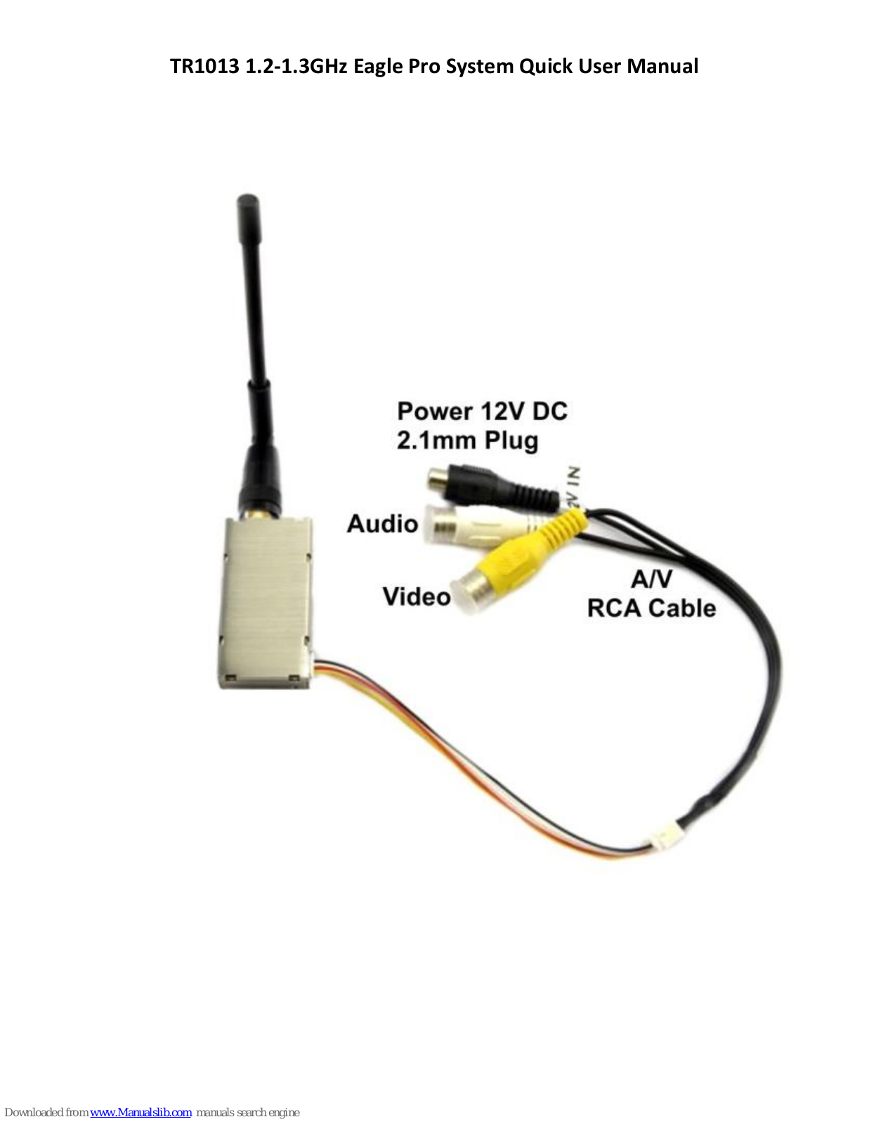 ElectrifyRC TR1013 Eagle Pro Quick User Manual