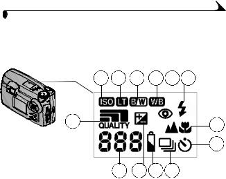 Kodak DX4900 User Manual