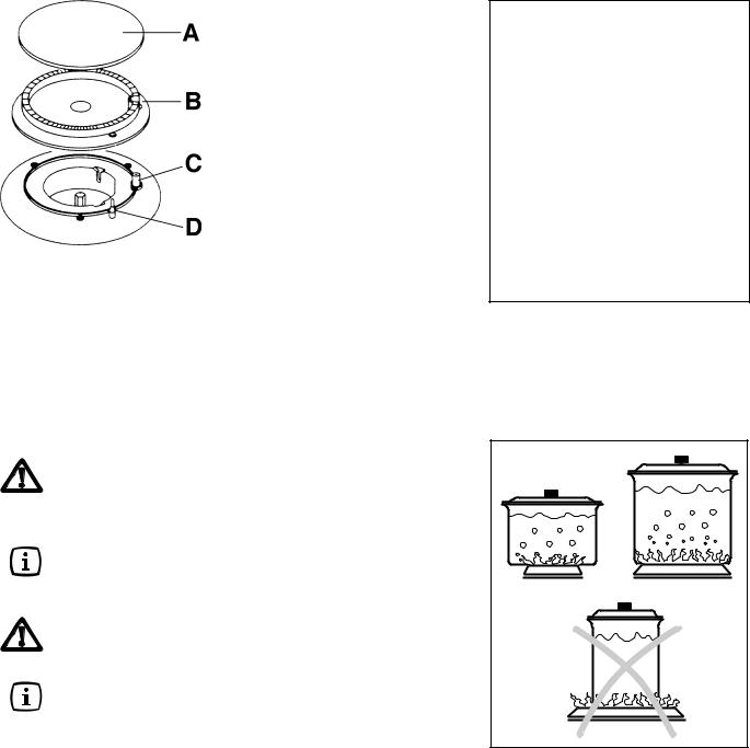 AEG EHG97X User Manual