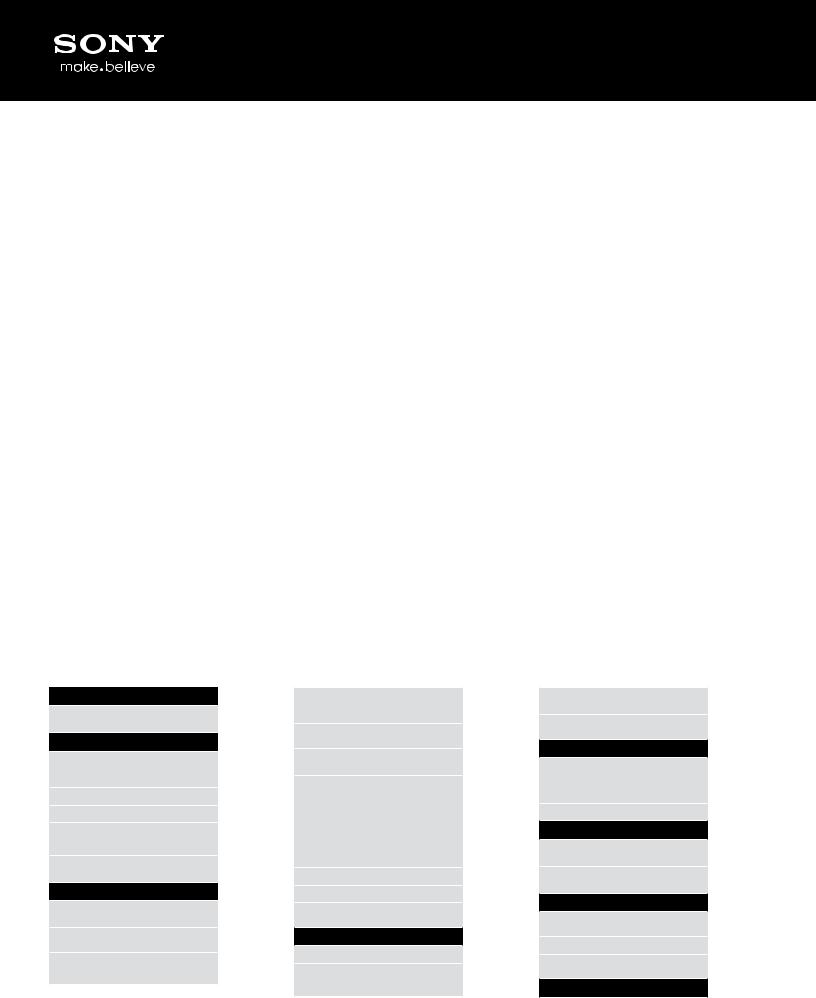 Sony MHS-TS22/R BROCHURE