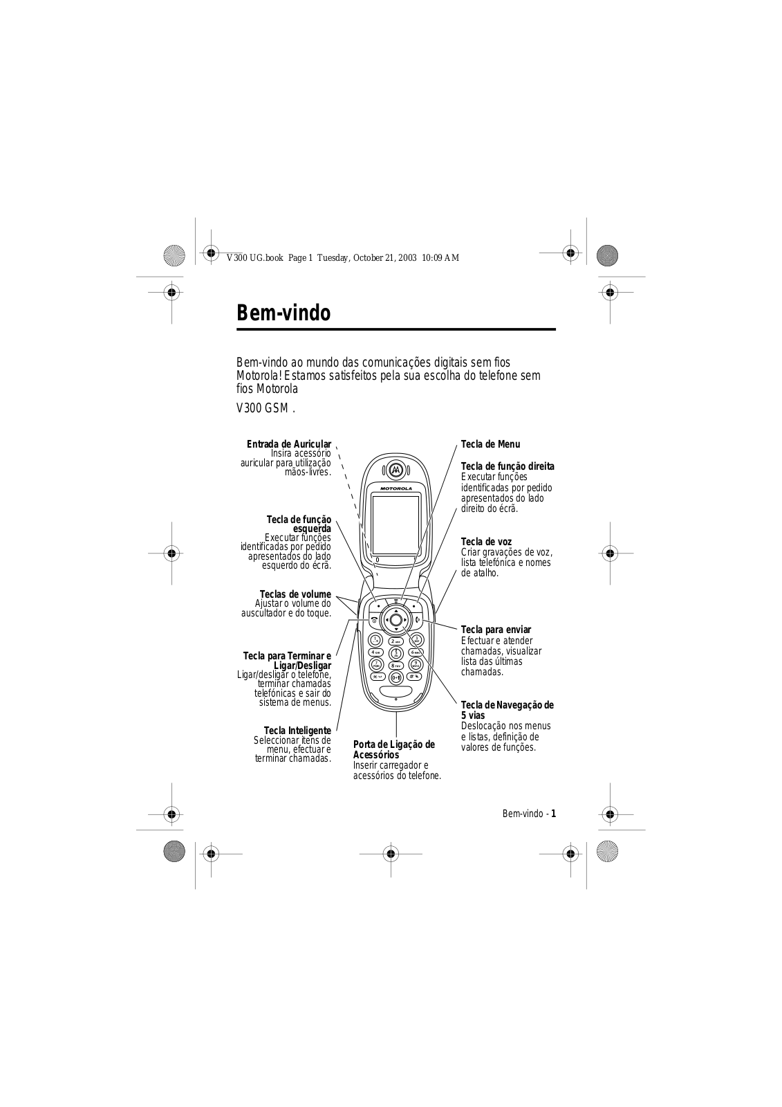 Motorola V300 User Manual