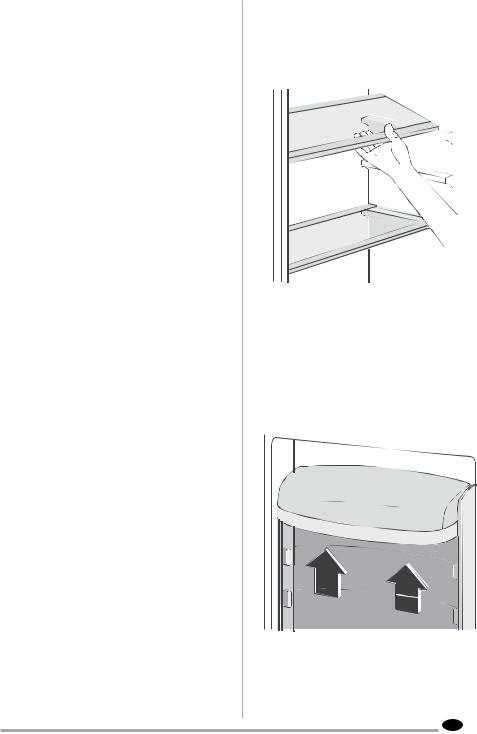 ZANUSSI ZRB224NXO, ZRB224NWO User Manual