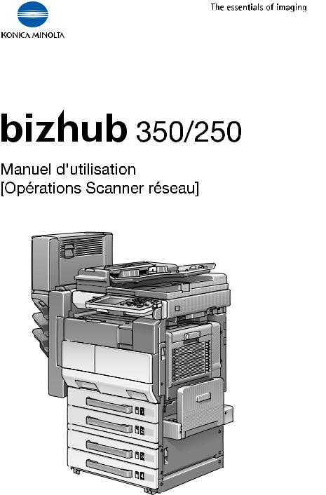 Konica minolta BIZHUB 250, BIZHUB 350 Manual