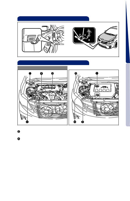 TOYOTA Corolla 2011 User Manual