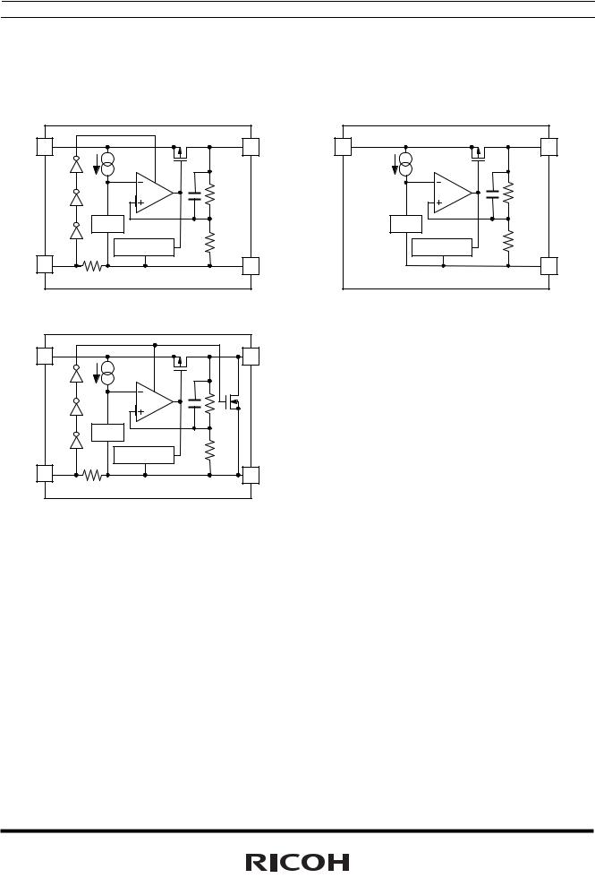 RICOH R1183Z User Manual