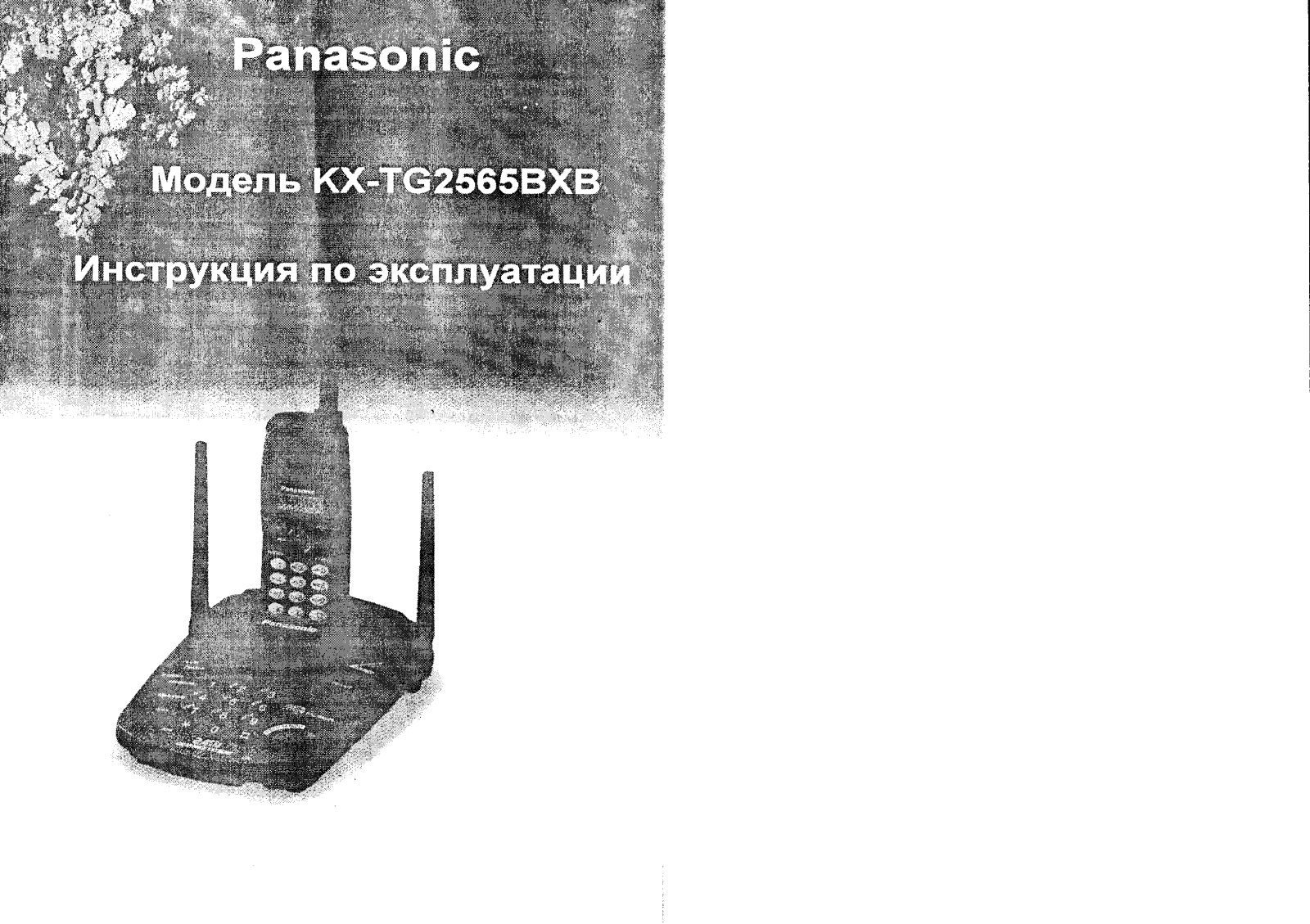 PANASONIC KX-TG2565BXB User Manual