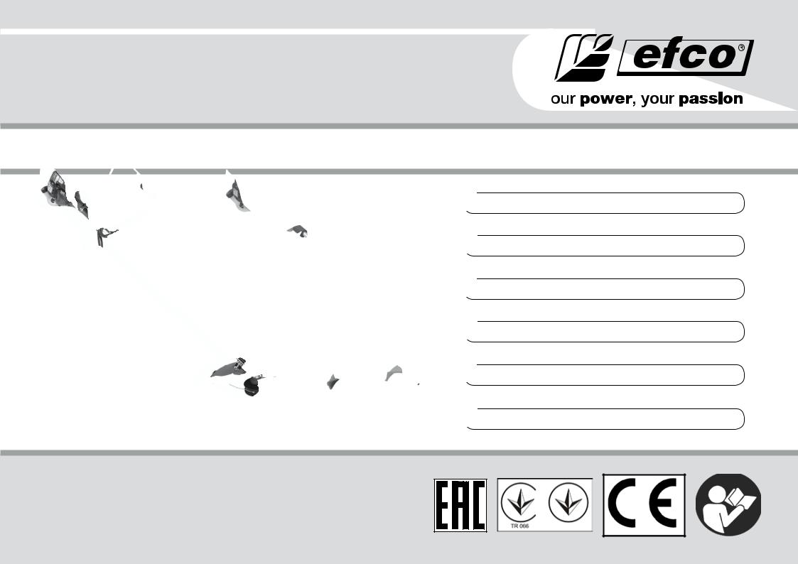 Efco STARK 25, STARK 25 IC, STARK 25 TR User guide