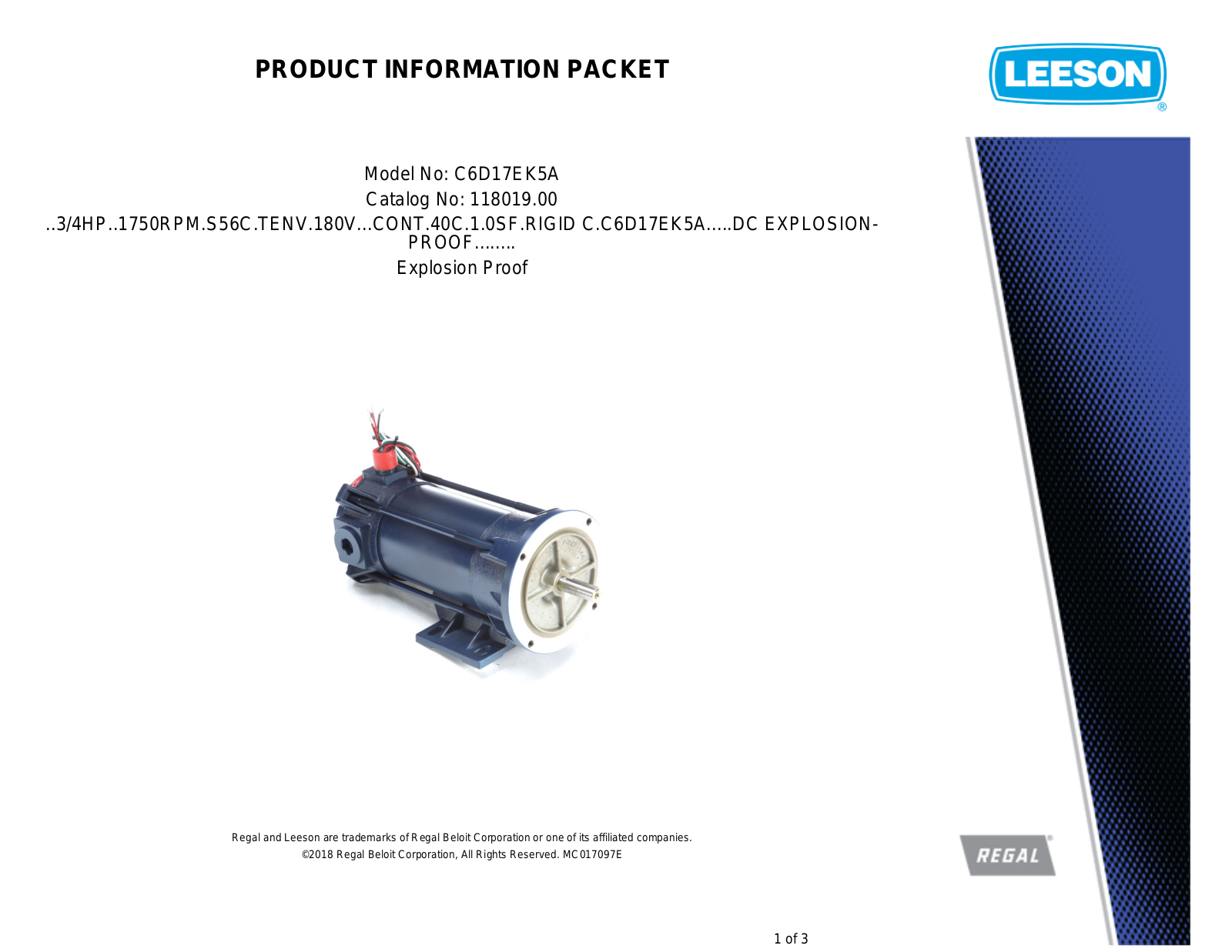 Leeson 118019.00 Product Information Packet