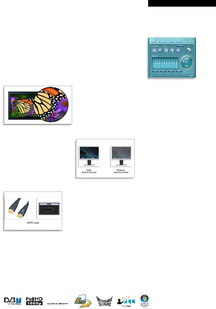 Philips 231T1SB User Manual