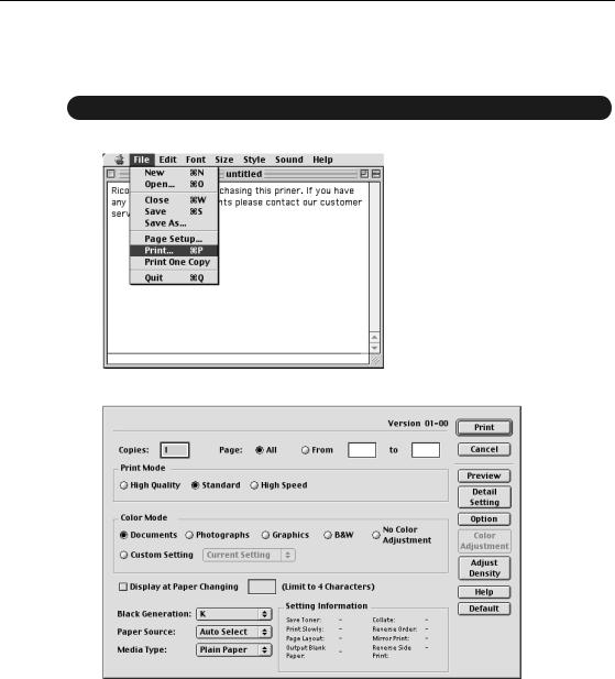 Ricoh AFICIO SP C210 User Manual