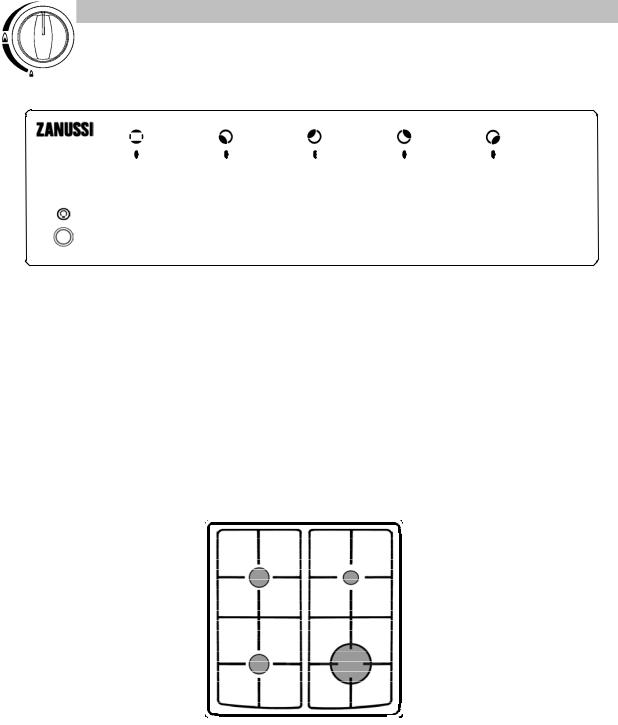 Zanussi ZCG550GX User Manual