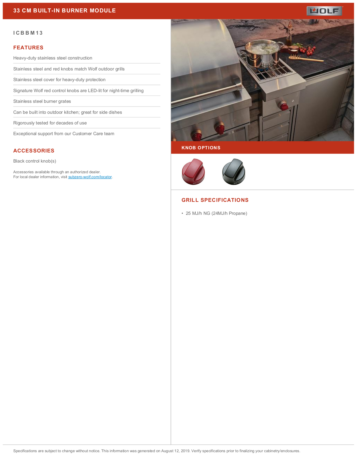 WOLF ICBBM13NG, ICBBM13LP Datasheet