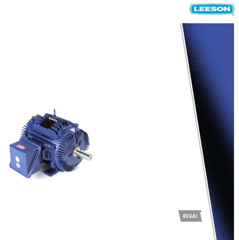 Leeson 824563.00 Product Information Packet