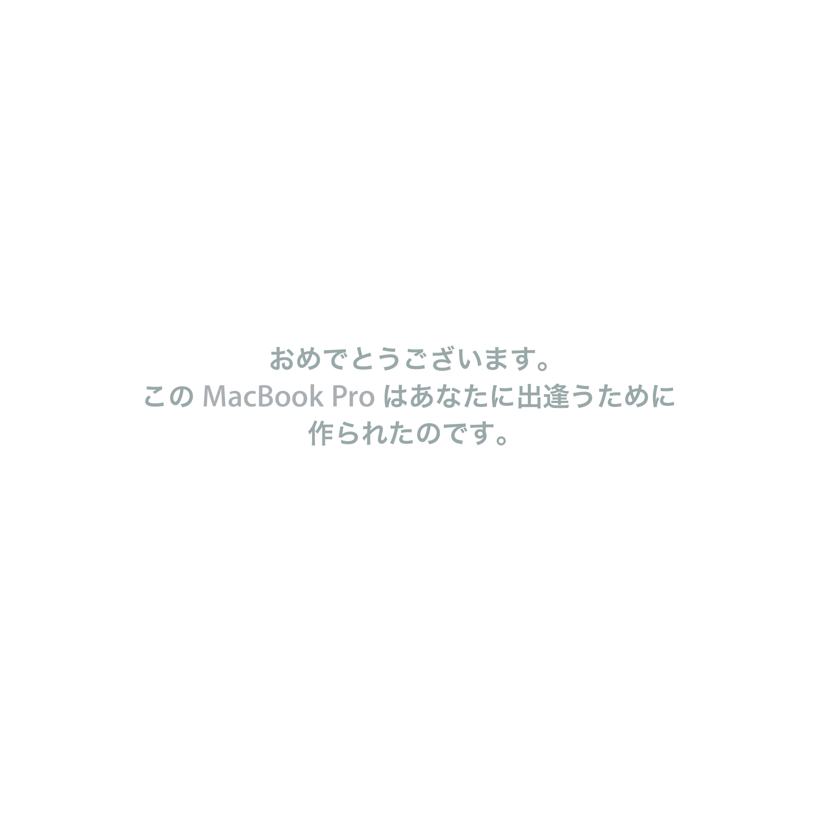 APPLE MacBook Pro 17 2008 User Manual