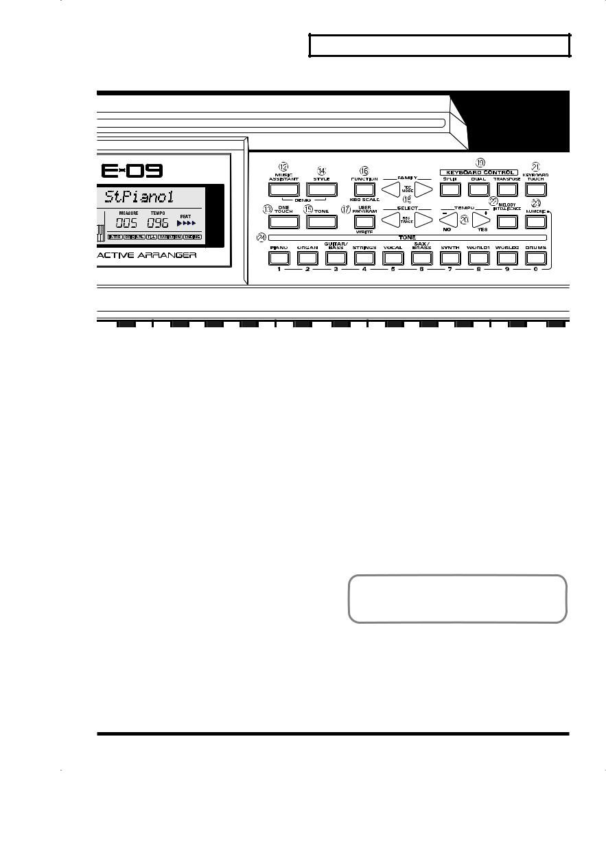 Roland E-09 User Manual