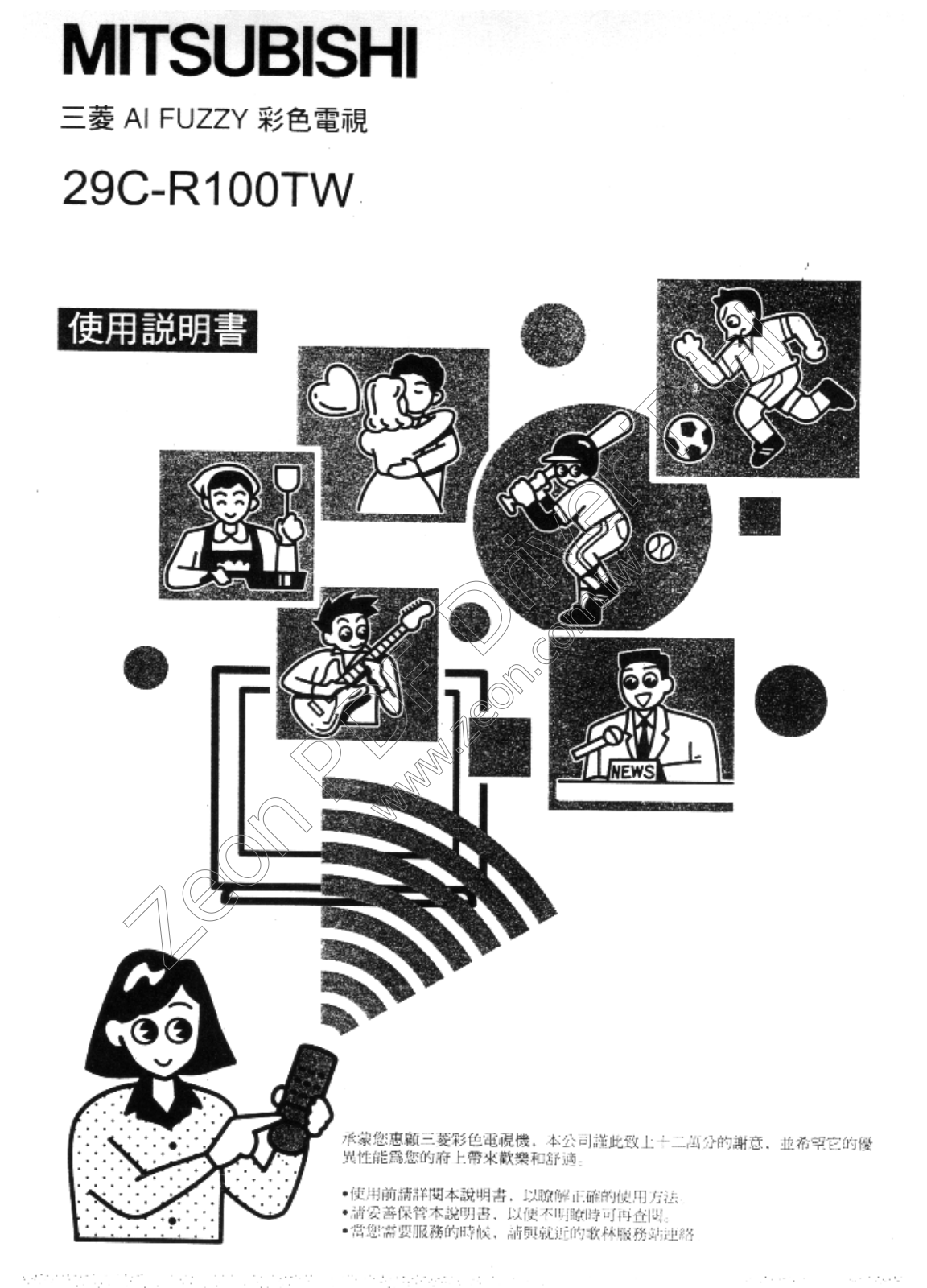 MITSUBISHI 29C-R100TW User Manual