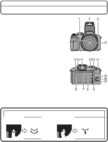 Panasonic DMC-FZ40GK User Manual