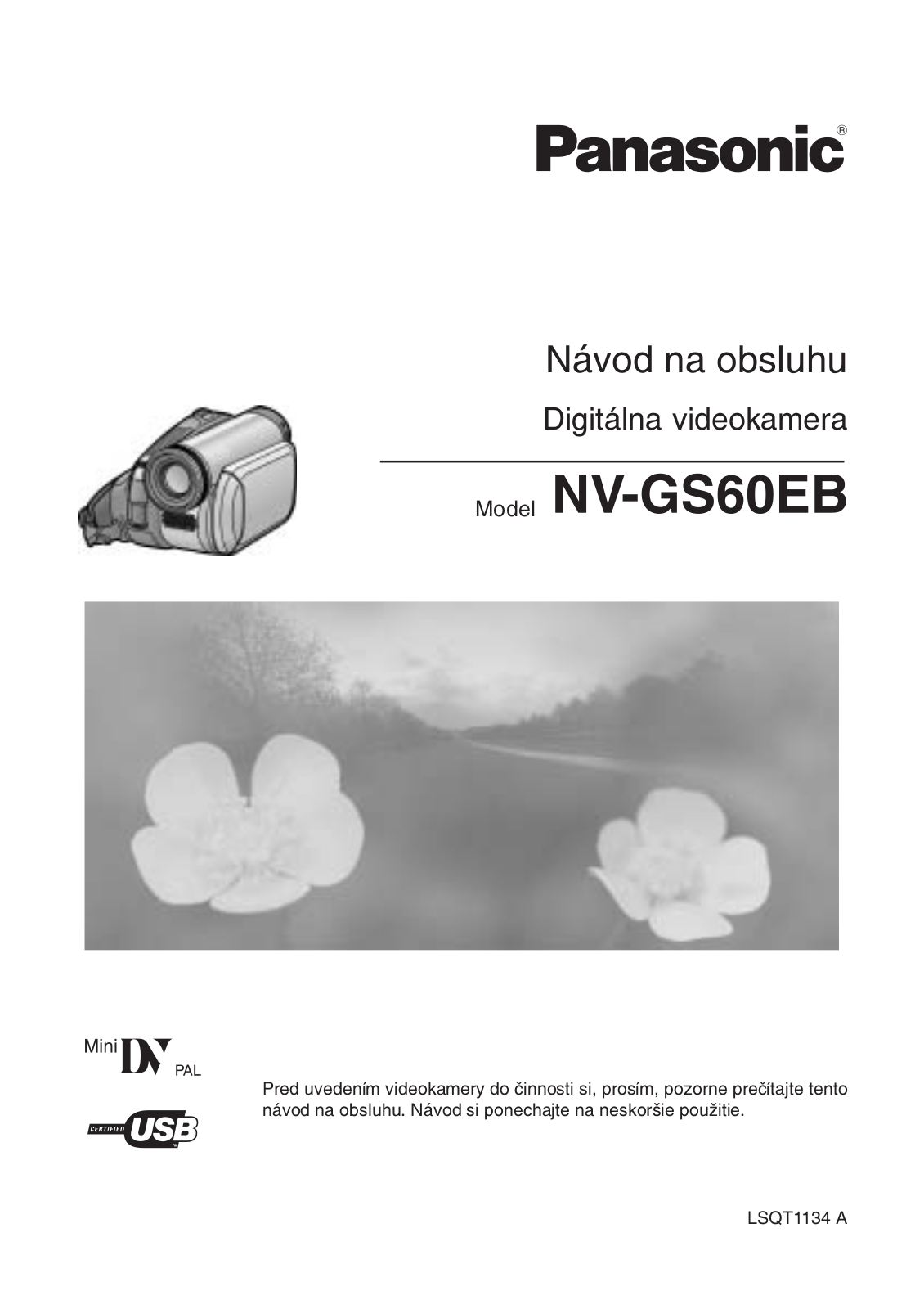 Panasonic NV-GS60EB User Manual