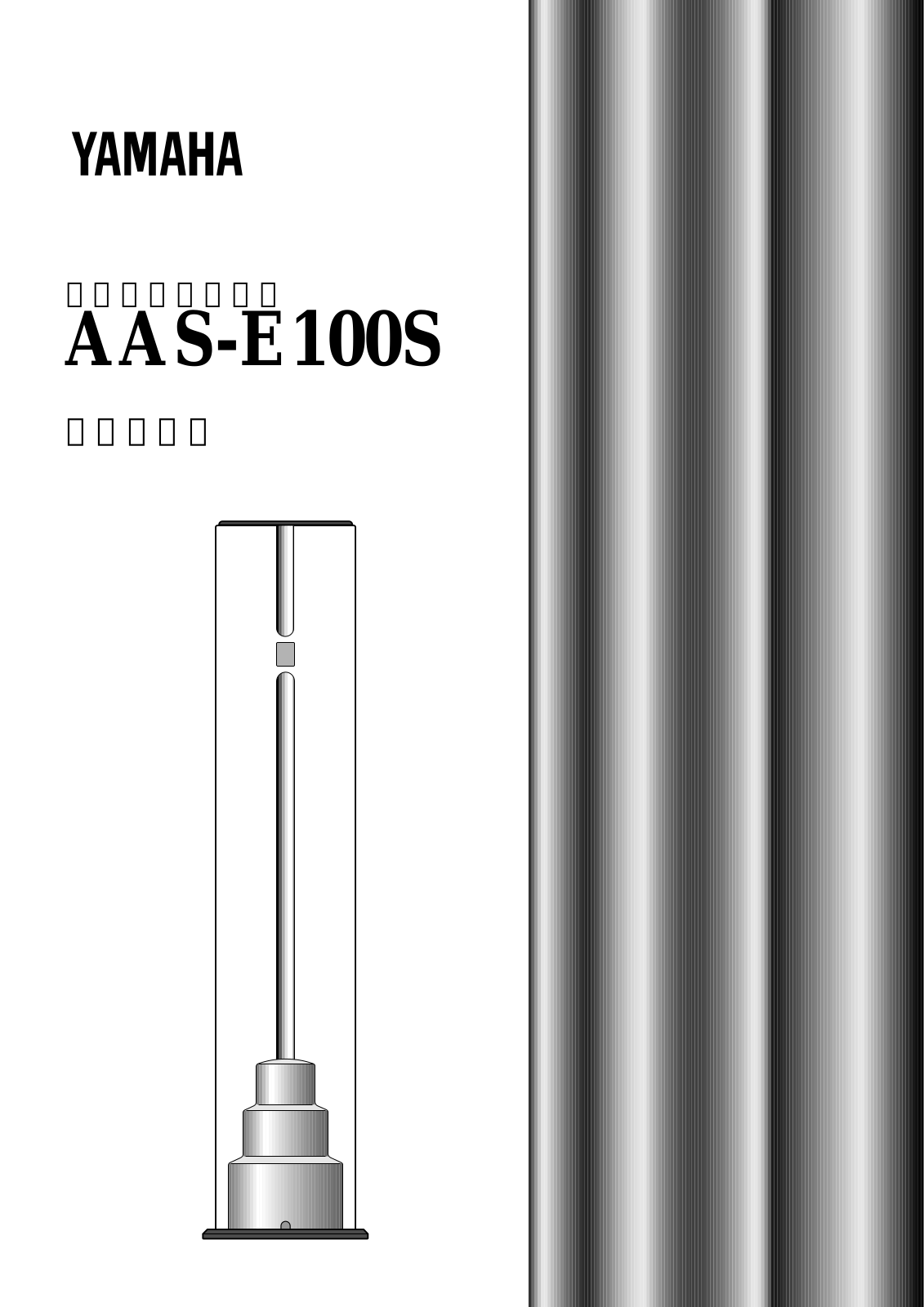 Yamaha AAS-E100S operating instructions - ManualMachine.com