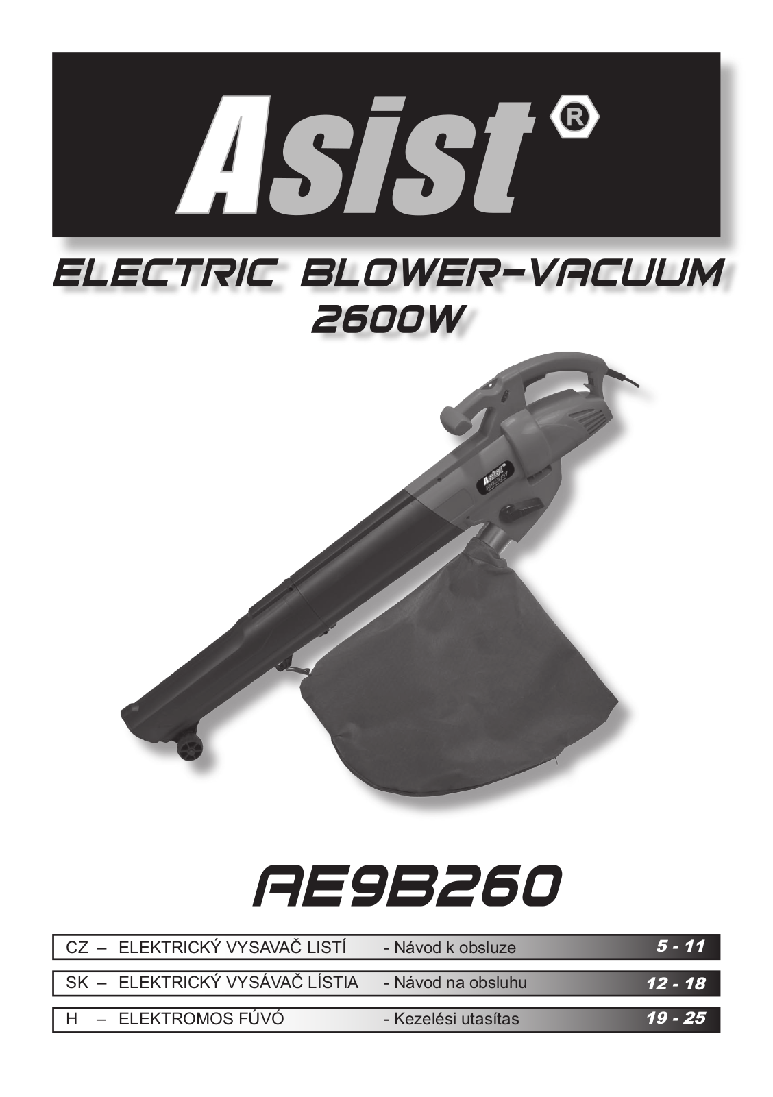 Asist AE9B260N User Manual