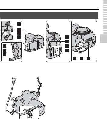 Sony SLT-A57 Instruction Manual