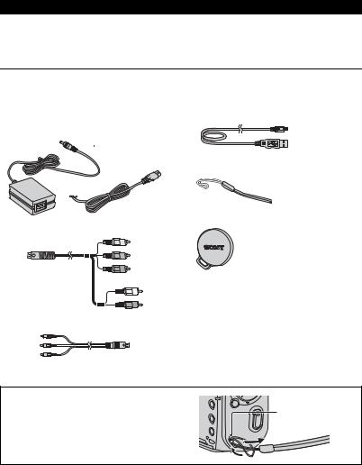 Sony MHS-CM3, MHS-CM1 User Manual