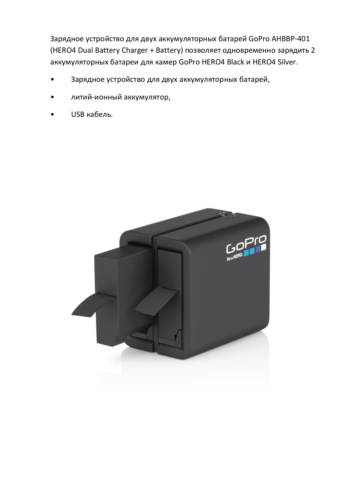 GoPro AHBBP-401 User Manual