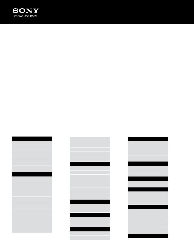 Sony MHS-FS1K/B BROCHURE