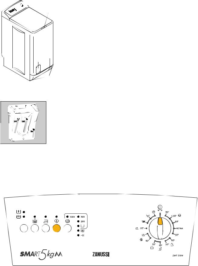 Zanussi ZWT 3104, ZWT 384 User manual