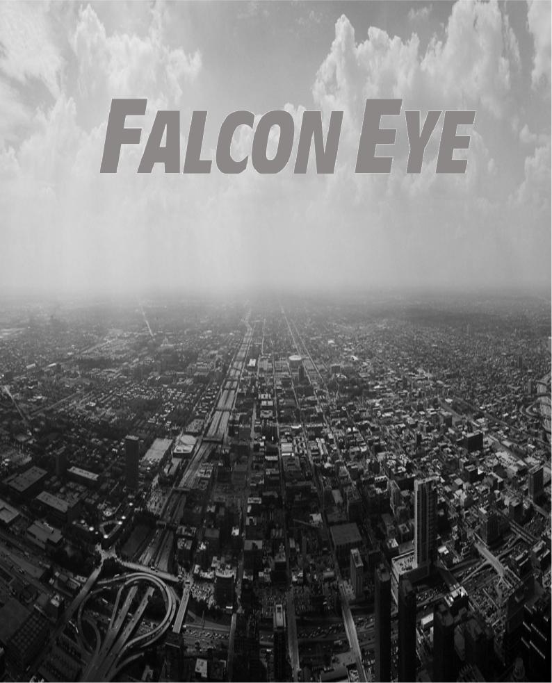 Falcon eye FE-IPC-HFW3300P User Manual