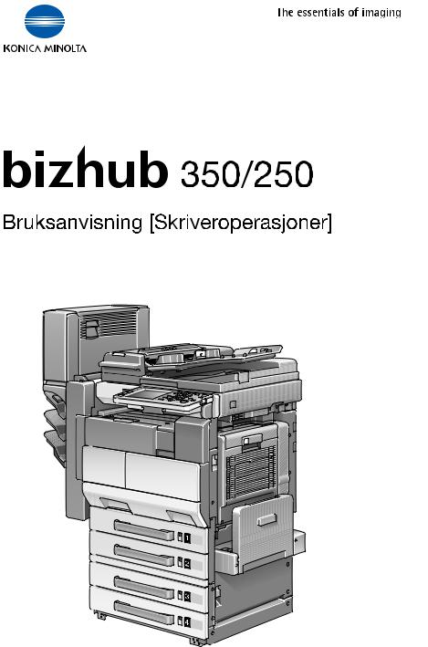 Konica minolta BIZHUB 250, BIZHUB 350 User Manual