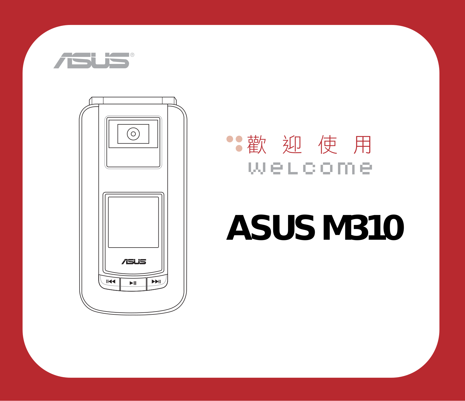 ASUS M310 User Manual