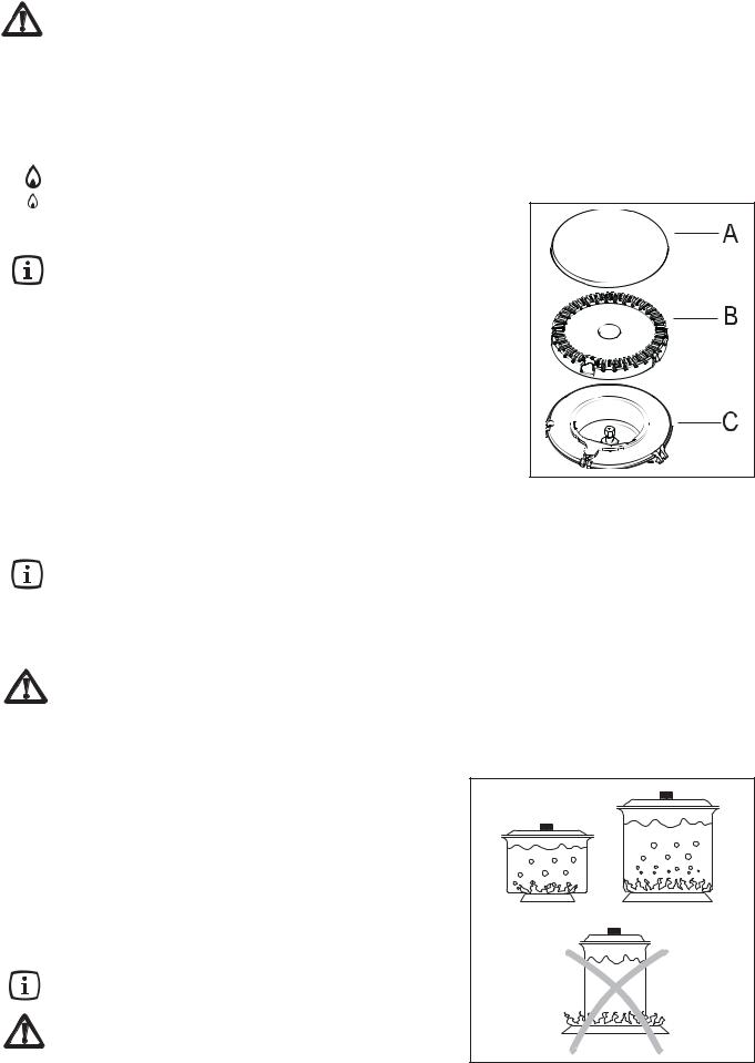 Zanussi ZGS646X User Manual