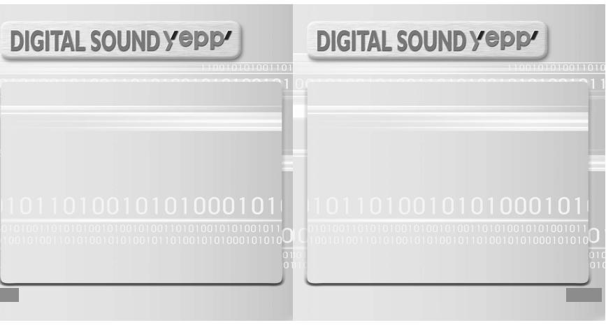 Samsung YP-T5V User Manual